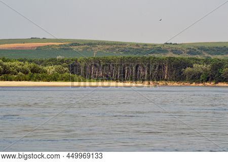 Danube Islands With Specific Meadow Forests And Huge Beaches Where Bird Colonies Find Shelter And En