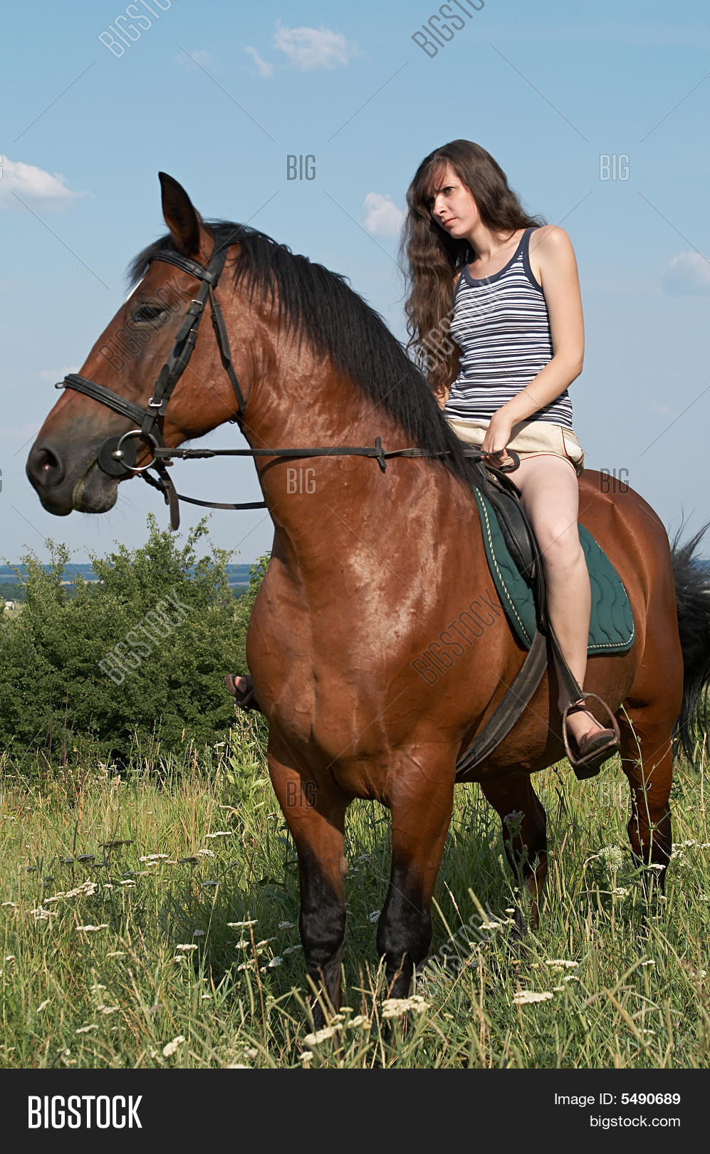 Конь девушку если. Конь девушку если. Девушка верхом. Конь девушку если. Конь девушку если.