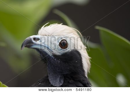 Guan potrubí