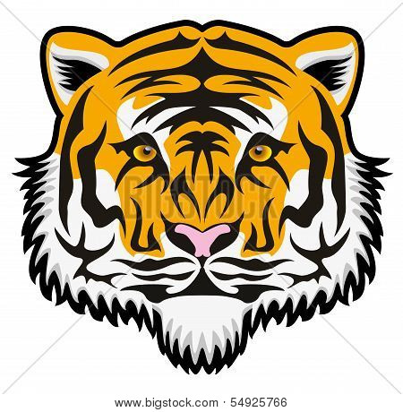 Vector  Tiger Face