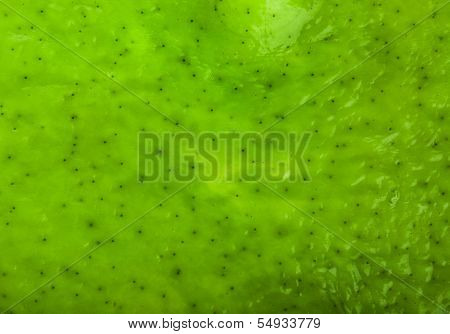 wet seaweed kelp ( laminaria ) surface top view close up macro shot texture background