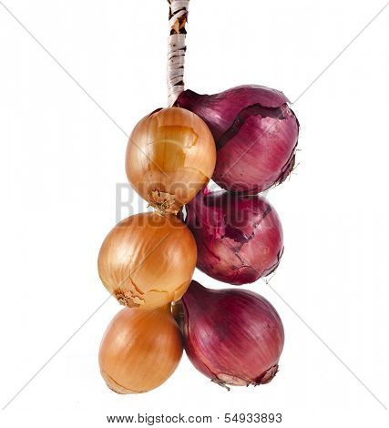 hanging bunch bundle of onion isolated on white background