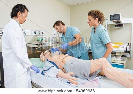 Male nurse adjusting endotracheal tube on dummy patient while colleague and doctor looking at it in hospital