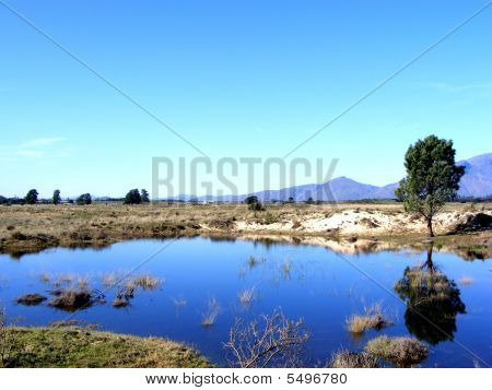 Reflejo en el agua
