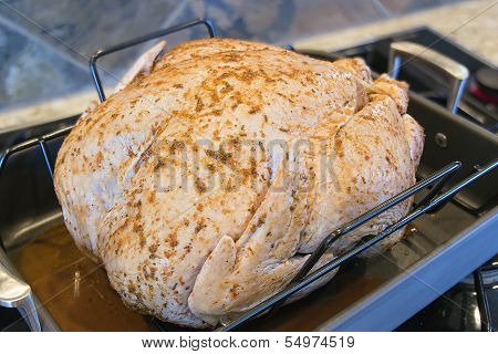 Seasoned Uncooked Turkey In Roasting Pan Closeup