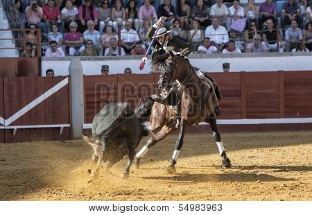 Spanish bullfighter on horseback Diego Ventura bullfighting on horseback with the sword of death to