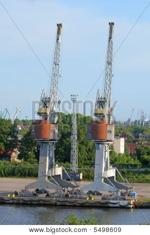 Krane in einem Hafen