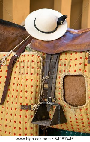 Detail of chopper hat or castoreï¿½o on the saddle of a horse's picardor