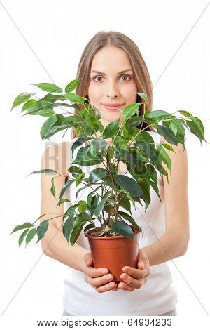 young woman holding a houseplant, isolated on white background