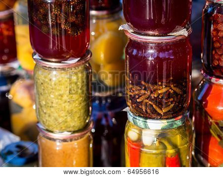 Pine tree cones jam