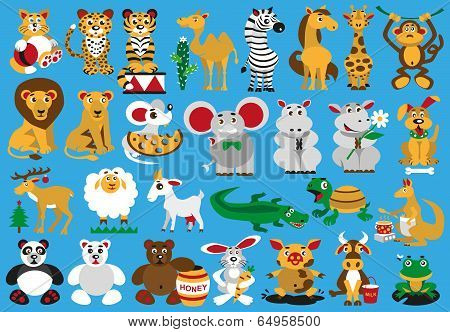 Animals