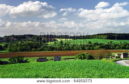 Calm Rural Landscape