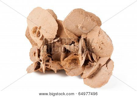 Desert Rose