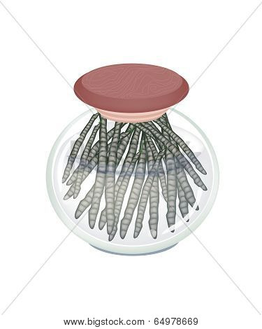 A Glass Jar Of Fresh Mung Bean Pods