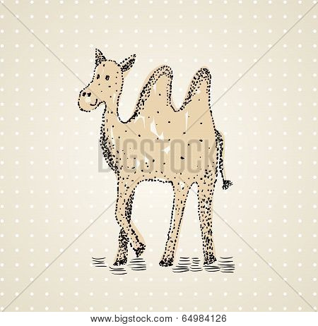 hand drawn camel