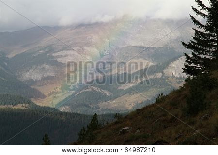 Rainbow in a foggy day in the hill