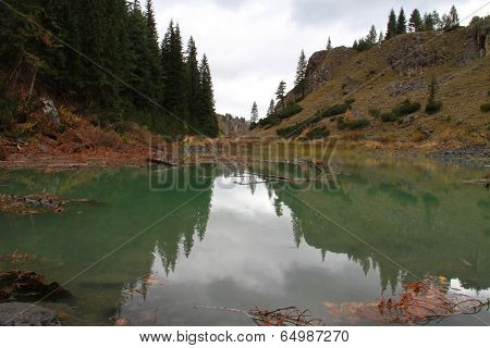 Pine reflection in Rugova lake, Kosovo
