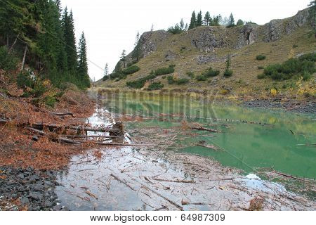 Fallen woods and leaves in the lake