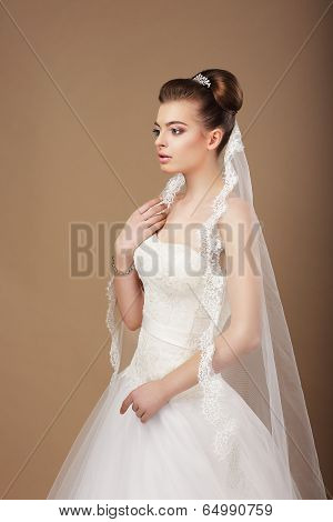 Espousal. Profile Of Elegant Stylish Bride With Veil