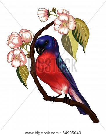 Bird on the branch