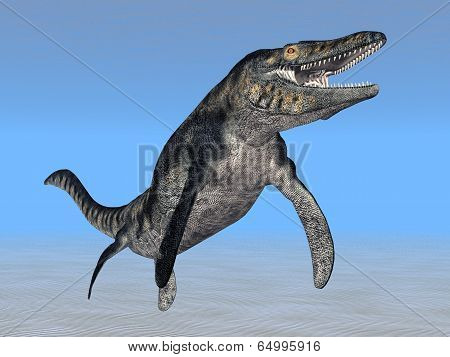 Mosasaur Tylosaurus