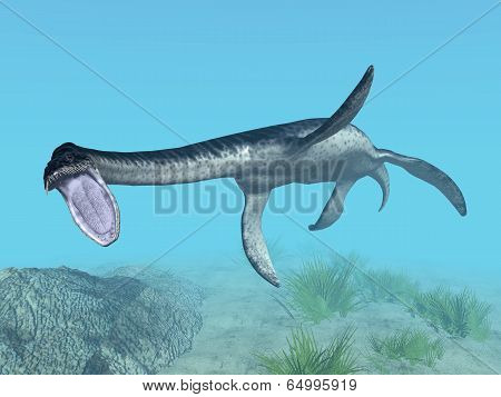 Plesiosaurus