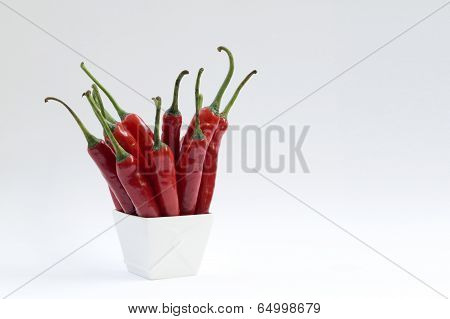 Red Chilli Peppers