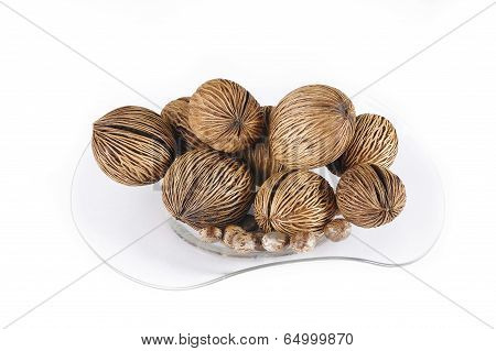 Castor Bean And Cerbera Odollam Seed For Decoration