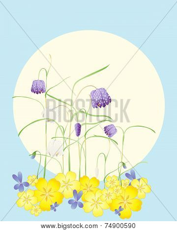 Spring Flowers