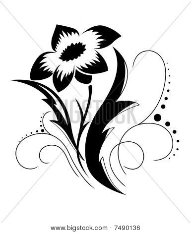 Nera un fiore bianco