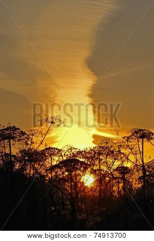 fiery sunset