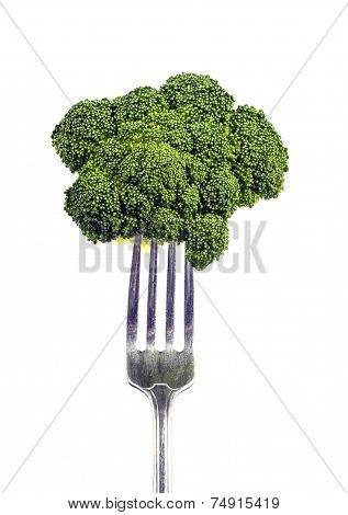 Close Up Shot Of Broccoli Floret