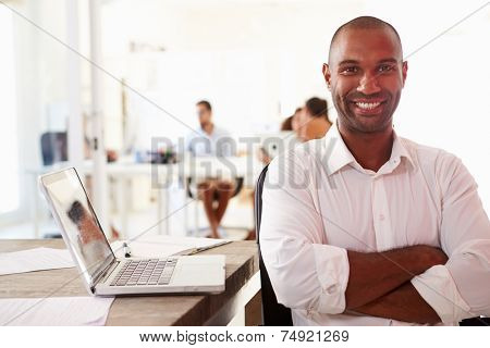 Man Using Laptop In Modern Office Of Start Up Business