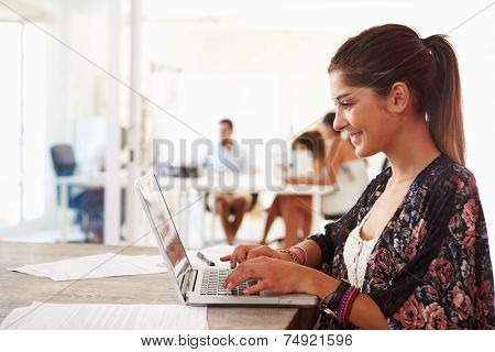 Woman Using Laptop In Modern Office Of Start Up Business
