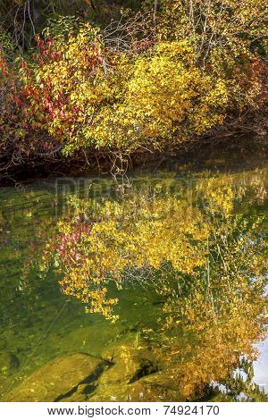 Yellow Red Leaves Fall Water Reflection Abstract Wenatchee River Valley Leavenworth Washington