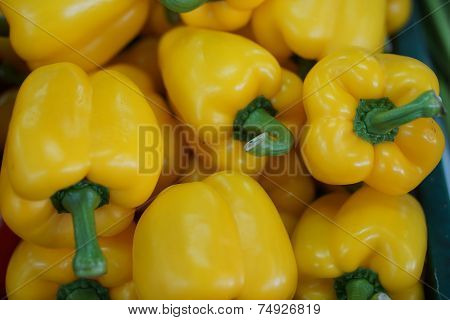 group of yellow sweet pepper