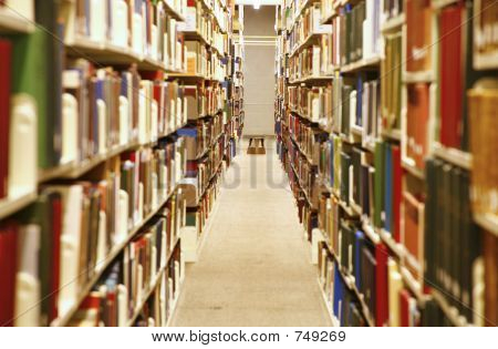 Bibliothek interior