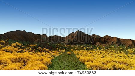Mountain