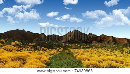 Mountain
