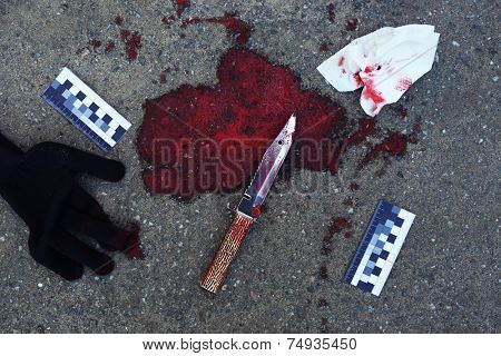 Bloody knife and evidence dragged along outdoors