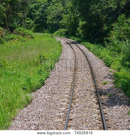Train Tracks In Country Developing