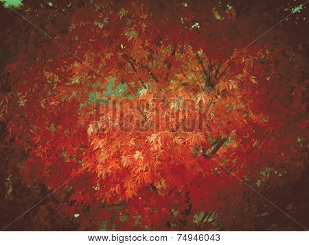 Retro Look Maple Leaves