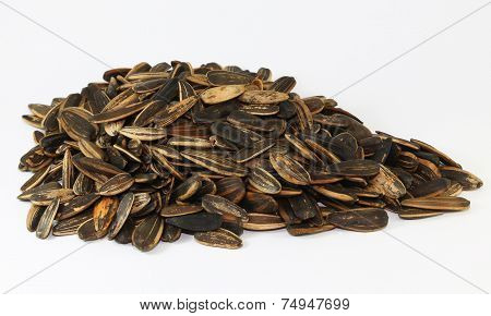 Sunflower Seeds