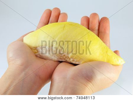 Close up Durian on hands