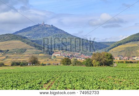 Alsace Landscape Near Village Orschwiller