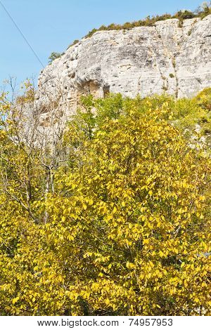 Autumn Tree In Gorge Mariam-dere, Crimea