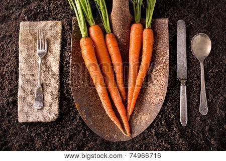 Carrots