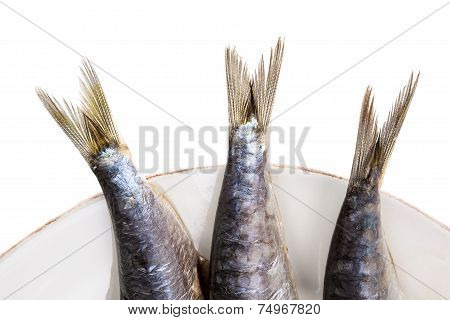 Seafood Eating.