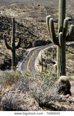 Desert Road 3