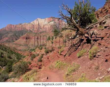 Národní Park Zion Utah